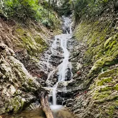 白絹の滝