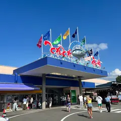 とれとれ市場丸新本家