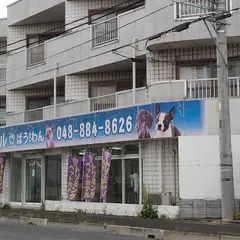 ばう!わん