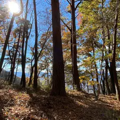 要害山城 堀切跡