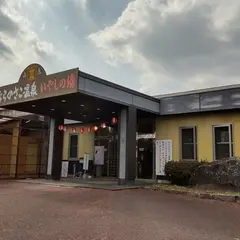 ならのさこ温泉いやしの湯
