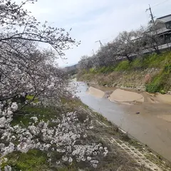 橿原市立橿原中学校