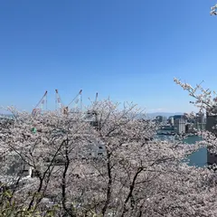 中央展望広場