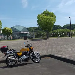 なかがわ水遊園 駐車場