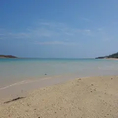 ヤジリ浜
