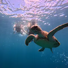 Tomorl石垣島