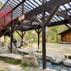 しらかば平駅 足湯