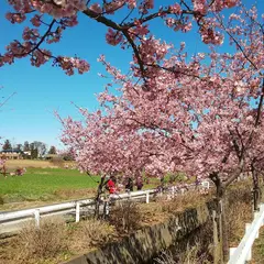 川田谷