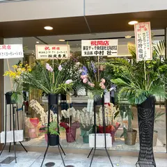 ピヴォ クロス