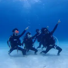 リーフレイダーズ