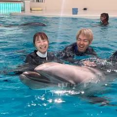 ノアドルフィンドーム