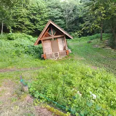 星と緑のキャンプ場