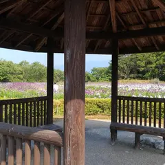 アイリスパーク