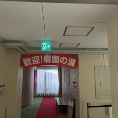 南アルプス市営温泉 樹園