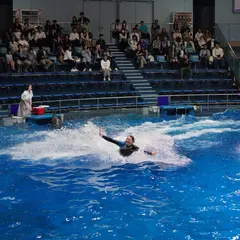 ザ スタジアム
