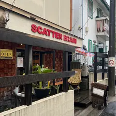 SCATTER BRAIN