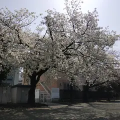 戸部公園第１