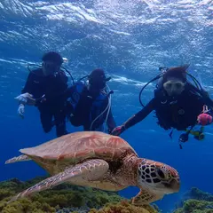 ピース piece diving and snorkel