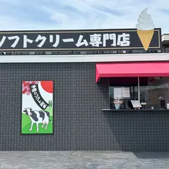 手練りソフト熊本 (ソフトクリーム専門店)