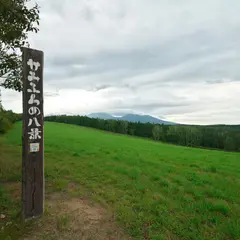 和田草原とどんぐりの郷
