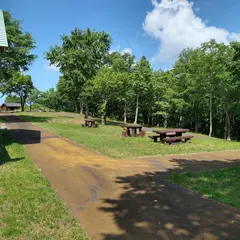 ふれあいの森キャンプ場