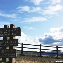 芦ノ湖展望公園