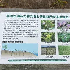 伊良湖岬自然散策路