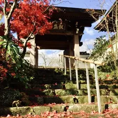 青苔寺