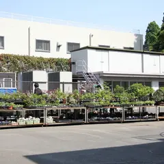 （株）東京盆栽クラブ