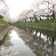 五条川