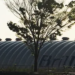 新豊洲Brilliaランニングスタジアム