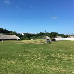 三内丸山遺跡