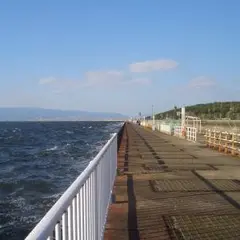 大阪南港魚つり園