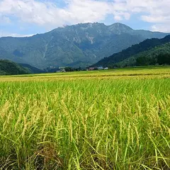 南魚沼市農業体験大学校