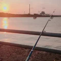 鹿島港魚釣園