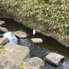 仙台堀川公園