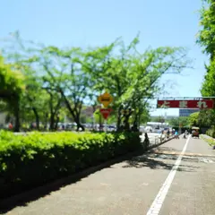 浦安市交通公園
