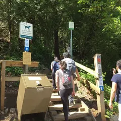 ディープ・コーブ