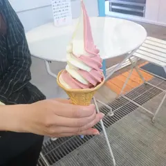 散歩カフェ