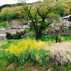 藤野駅