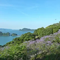 亜熱帯作物支場〜トロピカルドーム・ジャカランダの森〜