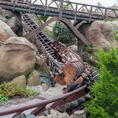 Seven Dwarfs Mine Train