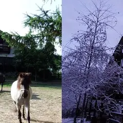 ペンション ラクレット