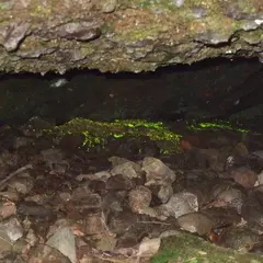 マッカウス洞窟