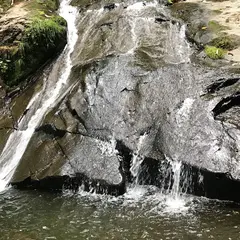 県立自然公園宇津江四十八滝