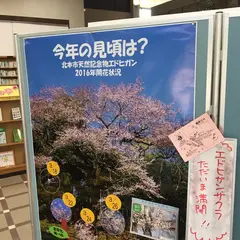 北本自然観察公園