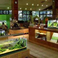 牛久自然観察の森