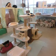 猫の博物館