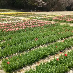 奥殿陣屋