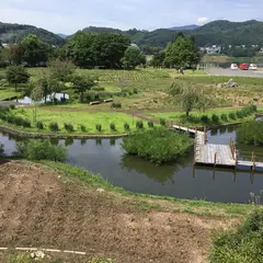 湯田貯砂ダム(錦秋湖大滝)